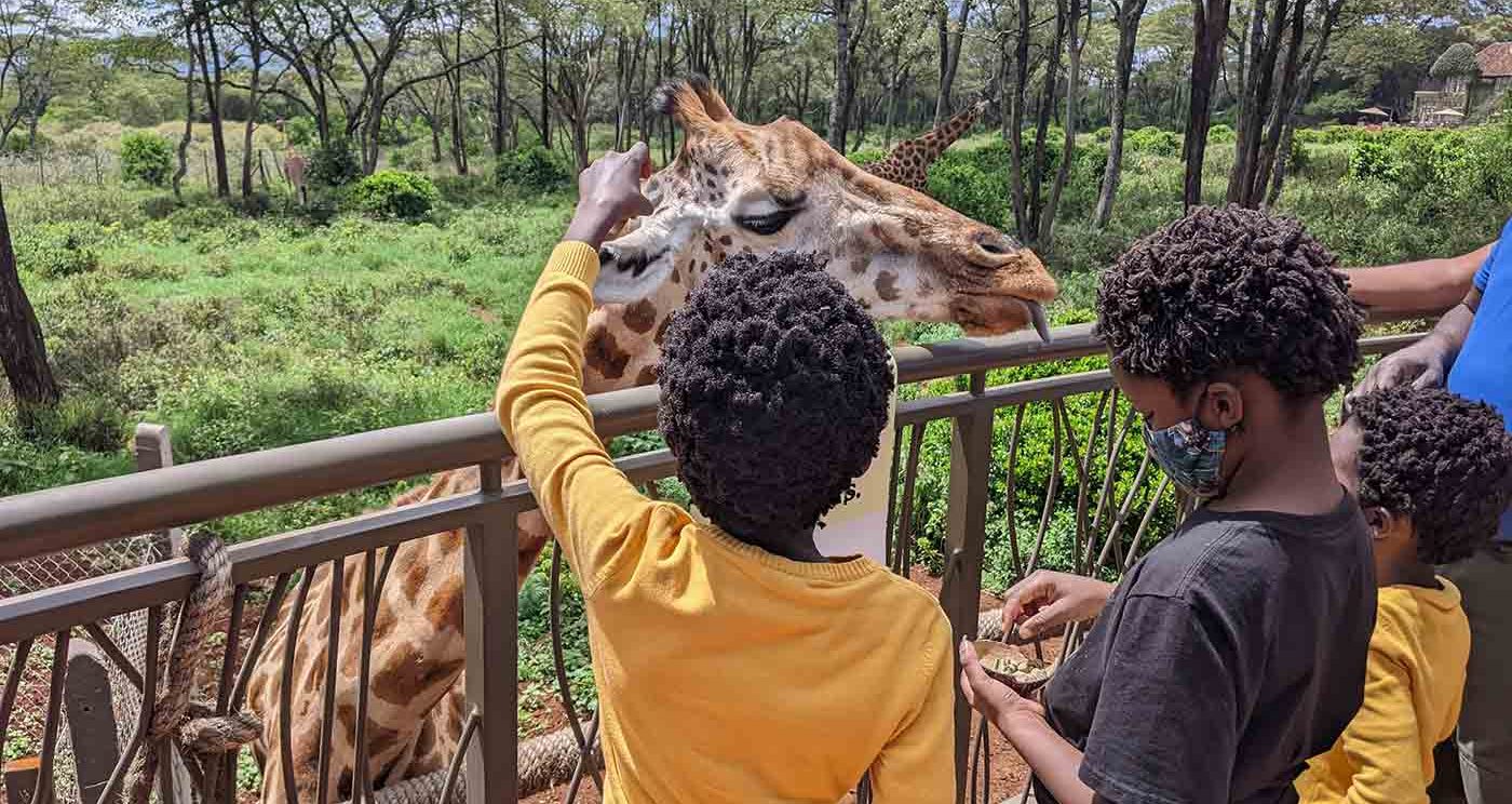 Giraffe Centre