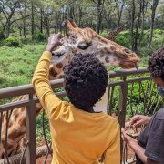 Things to do in Karen