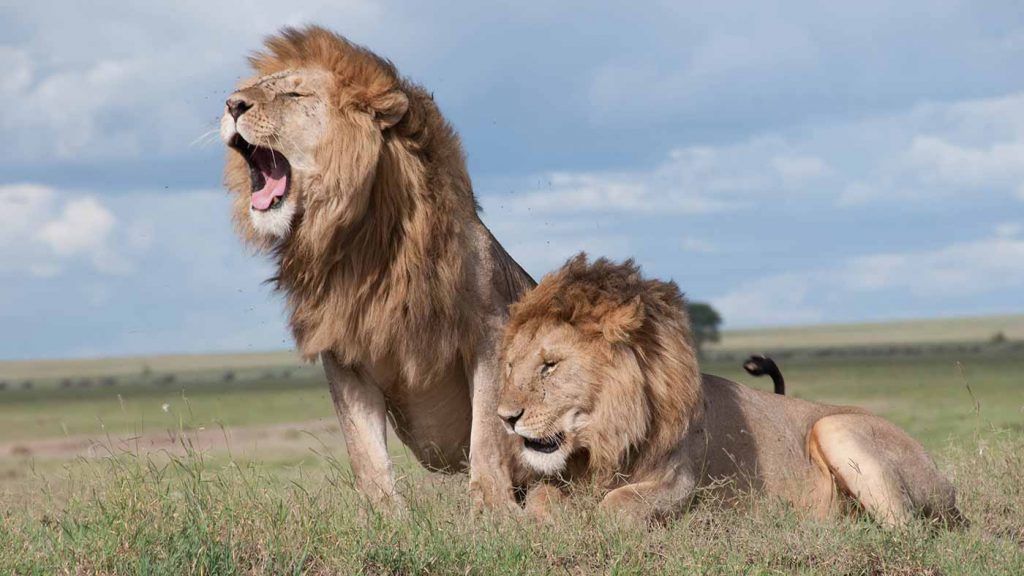 Nairobi National Park