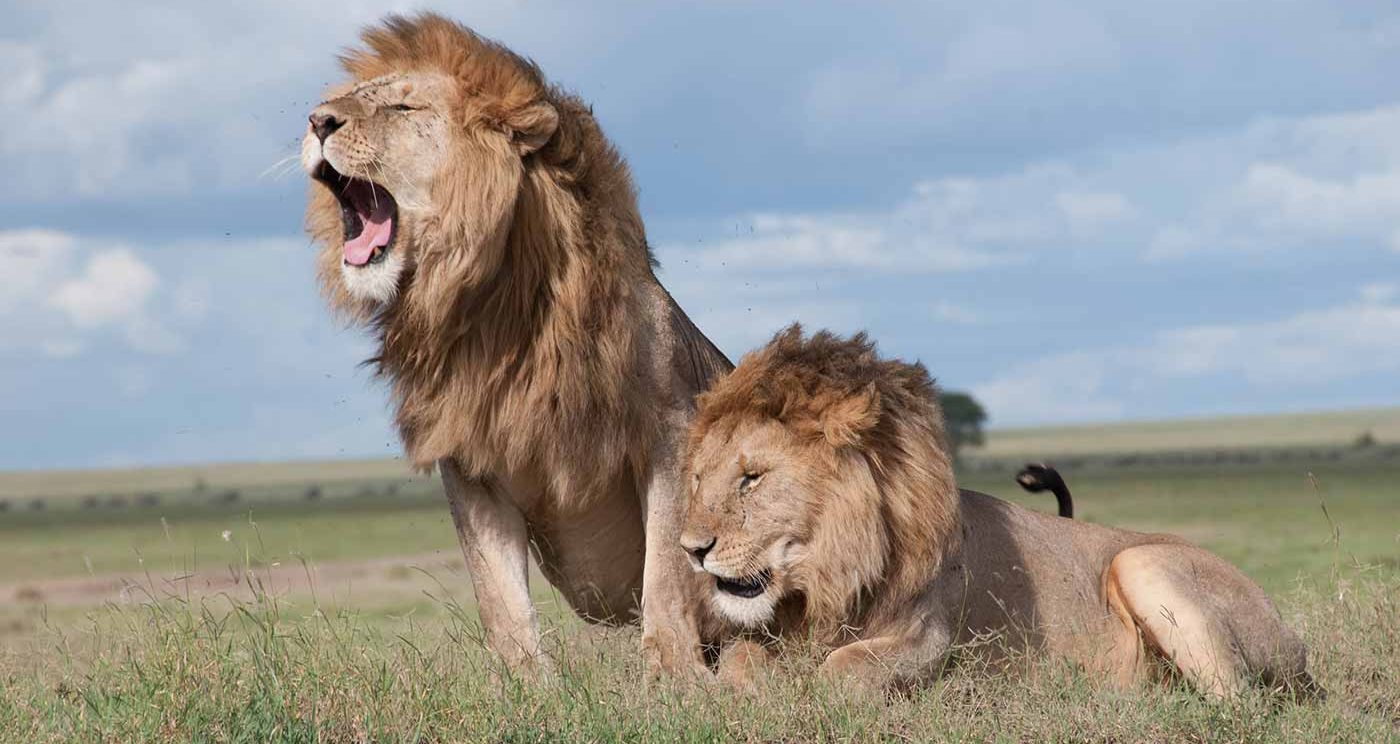 Nairobi National Park