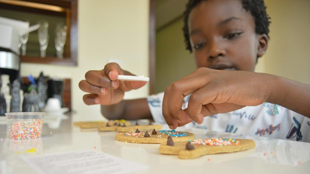 Cookie Decoration Kit