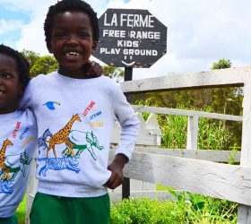 Picnic at La Ferme