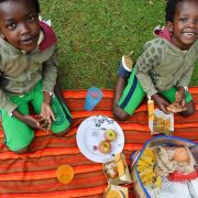 Affordable Picnic sites