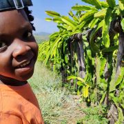 10 Family friendly farm tours in Kenya