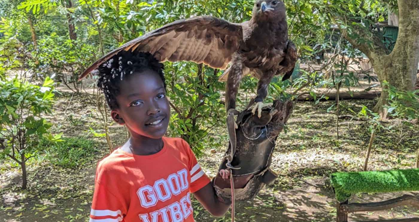 Falconry of Kenya