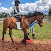 Xina Horse Riding