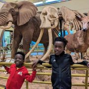 Top things to do in Kenya with Kids