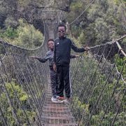Ngare Ndare Forest