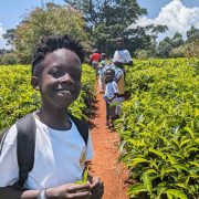Things to do in Tigoni